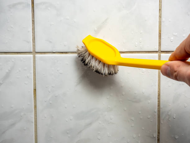Best Mold Remediation  in Collinsville, CT