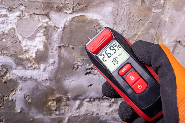 Mold Removal and Inspection in Collinsville, CT